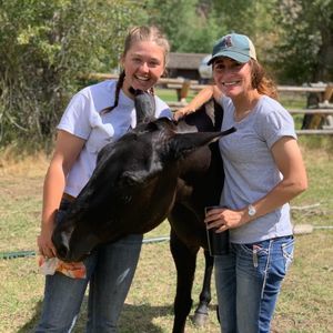 Meet your Posher, Olivia